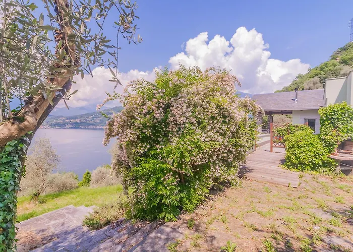 Beautiful Dream Semesterbostad *