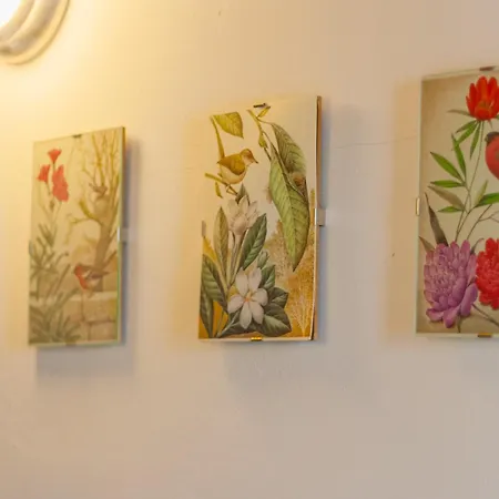 Beautiful Dream Perledo